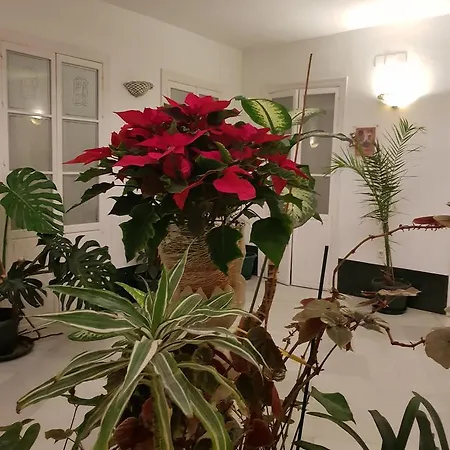 Apartment Los Balcones - Casita Con Encanto *